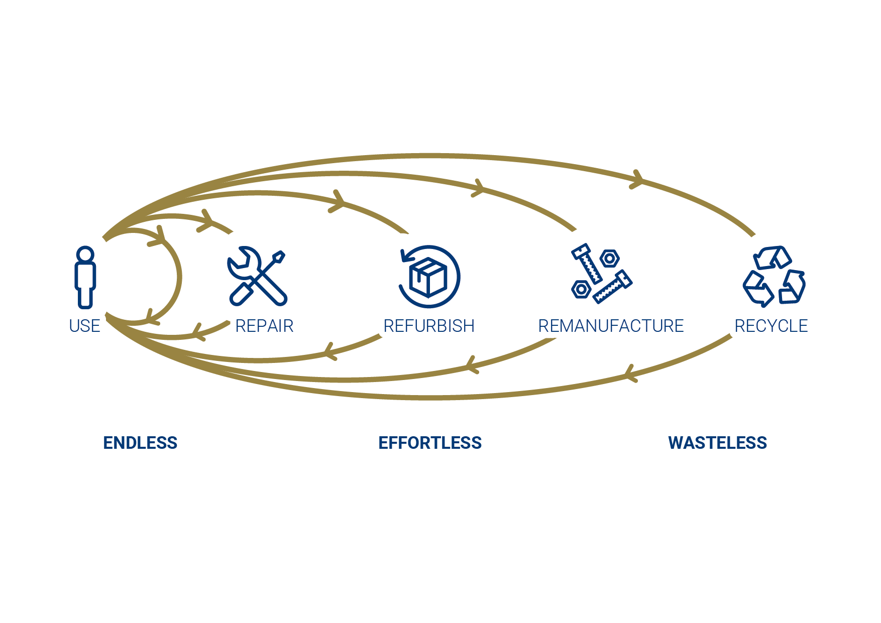 Examples of the circular economy