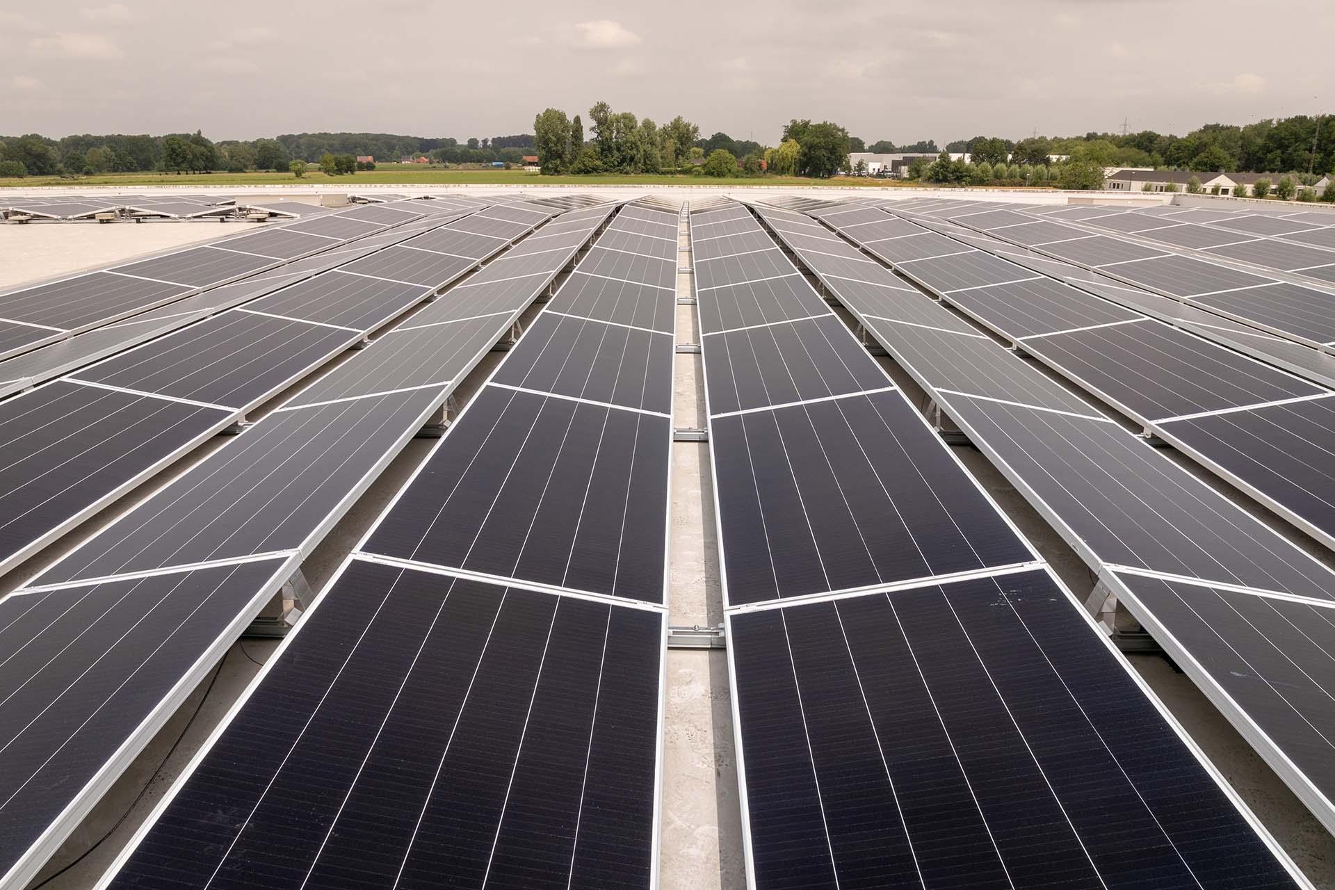 Waarom is het onderwerp van zonne-energie zo belangrijk, zowel voor ons bedrijf als voor de samenleving als geheel?