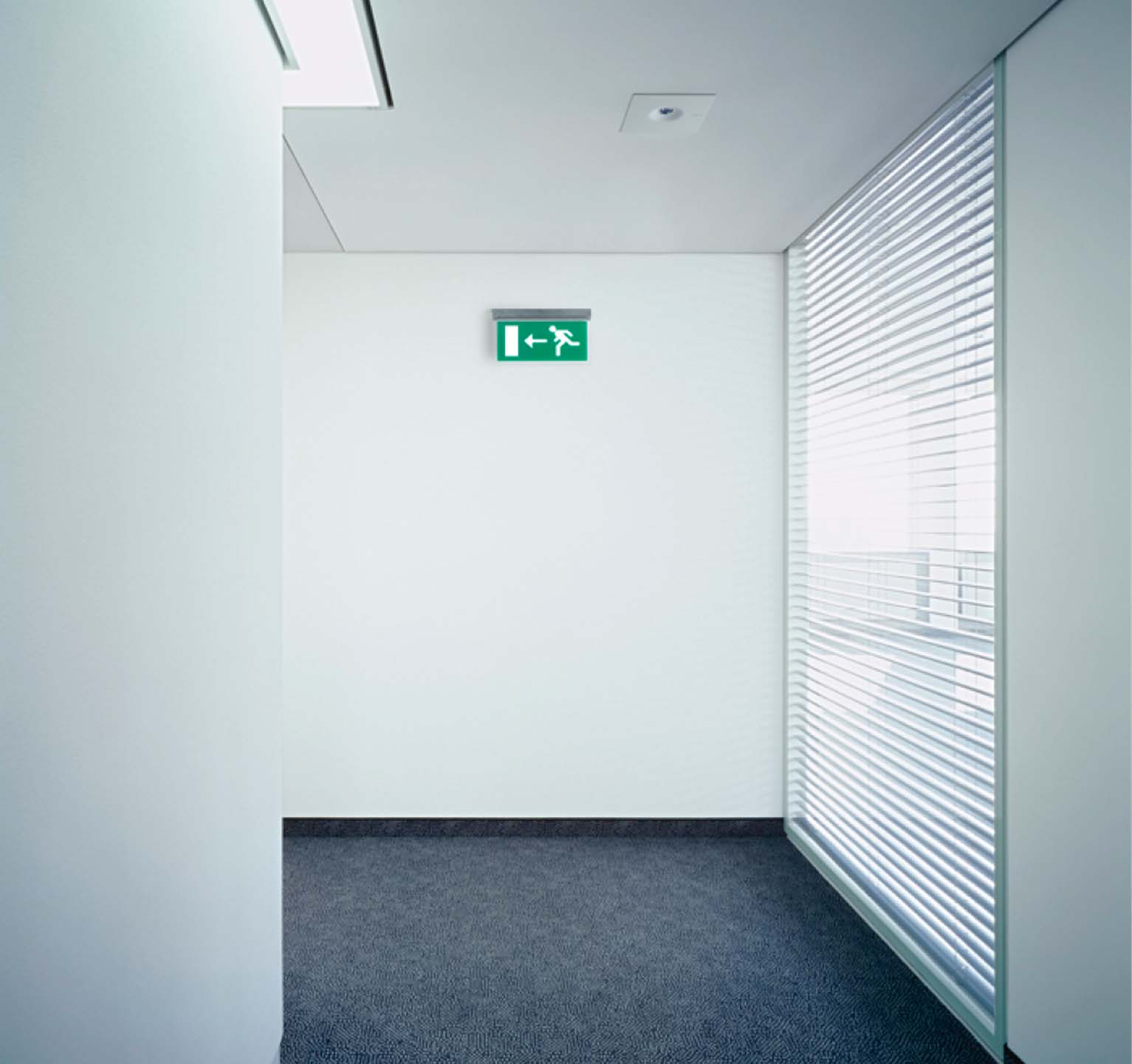 ESM Comprehensive emergency lighting monitoring